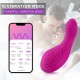 The Ugly Truth Remote Control Vibrating Panties