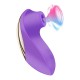 Clitoral Nipples Sucking Vibrator 10 Suction Vibration Modes Oral Sex Waterproof Rechargeable Sex Toy For Women India