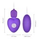 Egg Vibrator G Spot 10 Frequency Vibrations Remote Control  Female Sex Toy India