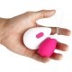 Remote Control Egg Vibrator