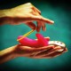 Amorino Rabbit Vibrating Dildo (Pink) Amorino Rabbit Vibrating Dildo (Pink)