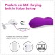 10 Frequency Luxury Rabbit Vibrator USB Rechargeable