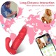 Thrusting G Spot Dildo App＆Remote Control Vibrator Wearable Panty Vibrator for Women