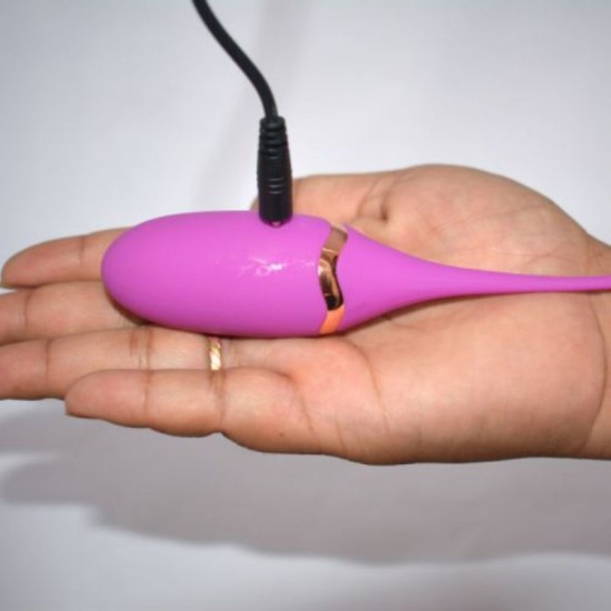 FISHY - Wireless Remote Vibrator