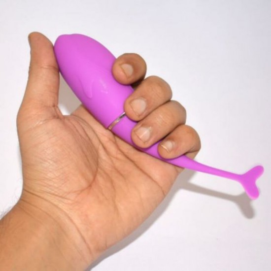 Dolphin Pink Vibrations Dolphin Pink Vibrations