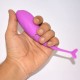 Dolphin Pink Vibrations Dolphin Pink Vibrations