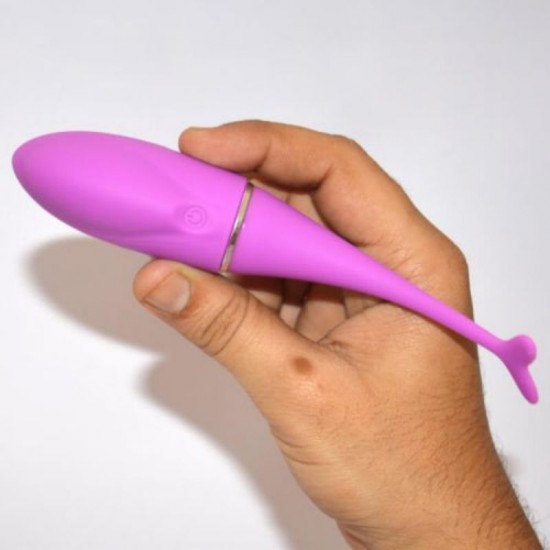 Dolphin Pink Vibrations Dolphin Pink Vibrations