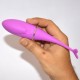 Dolphin Pink Vibrations Dolphin Pink Vibrations