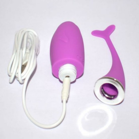 Dolphin Pink Vibrations Dolphin Pink Vibrations