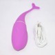 Dolphin Pink Vibrations Dolphin Pink Vibrations