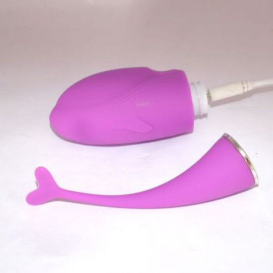Dolphin Pink Vibrations Dolphin Pink Vibrations