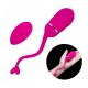 Vibrating Egg Wireless Remote Control Female Sex Toy India