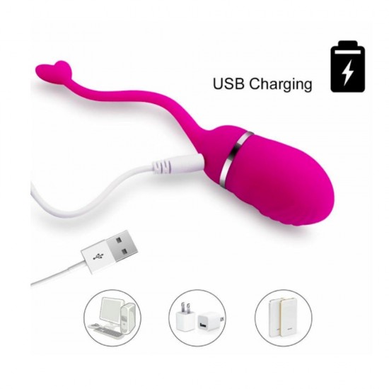 Vibrating Egg Wireless Remote Control Female Sex Toy India