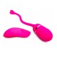 Vibrating Egg Wireless Remote Control Female Sex Toy India