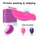 Wearable Wireless Vibrators 12 Vibration Patterns Waterproof